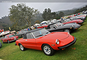 Подбор шин на Alfa Romeo Spider 1976