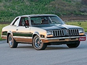 Подбор шин на Pontiac Grand AM 1979