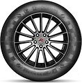 Doublestar DS01 225/60 R17 99H 