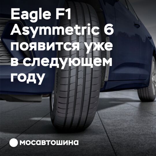 Eagle F1 Asymmetric 6