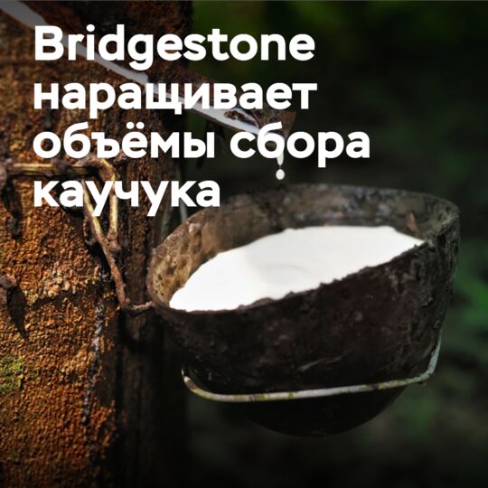 Bridgestone
