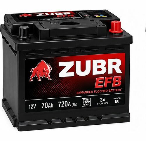 Zubr EFB
