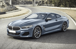 Подбор шин на BMW 8-series 2019