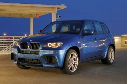 Подбор шин на BMW X5 M 2009