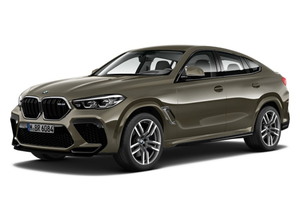 Подбор шин на BMW X6 M 2022