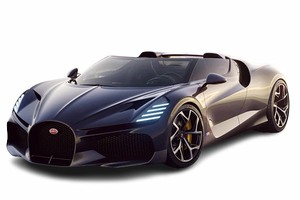 Подбор шин на Bugatti W16 Mistral 2025