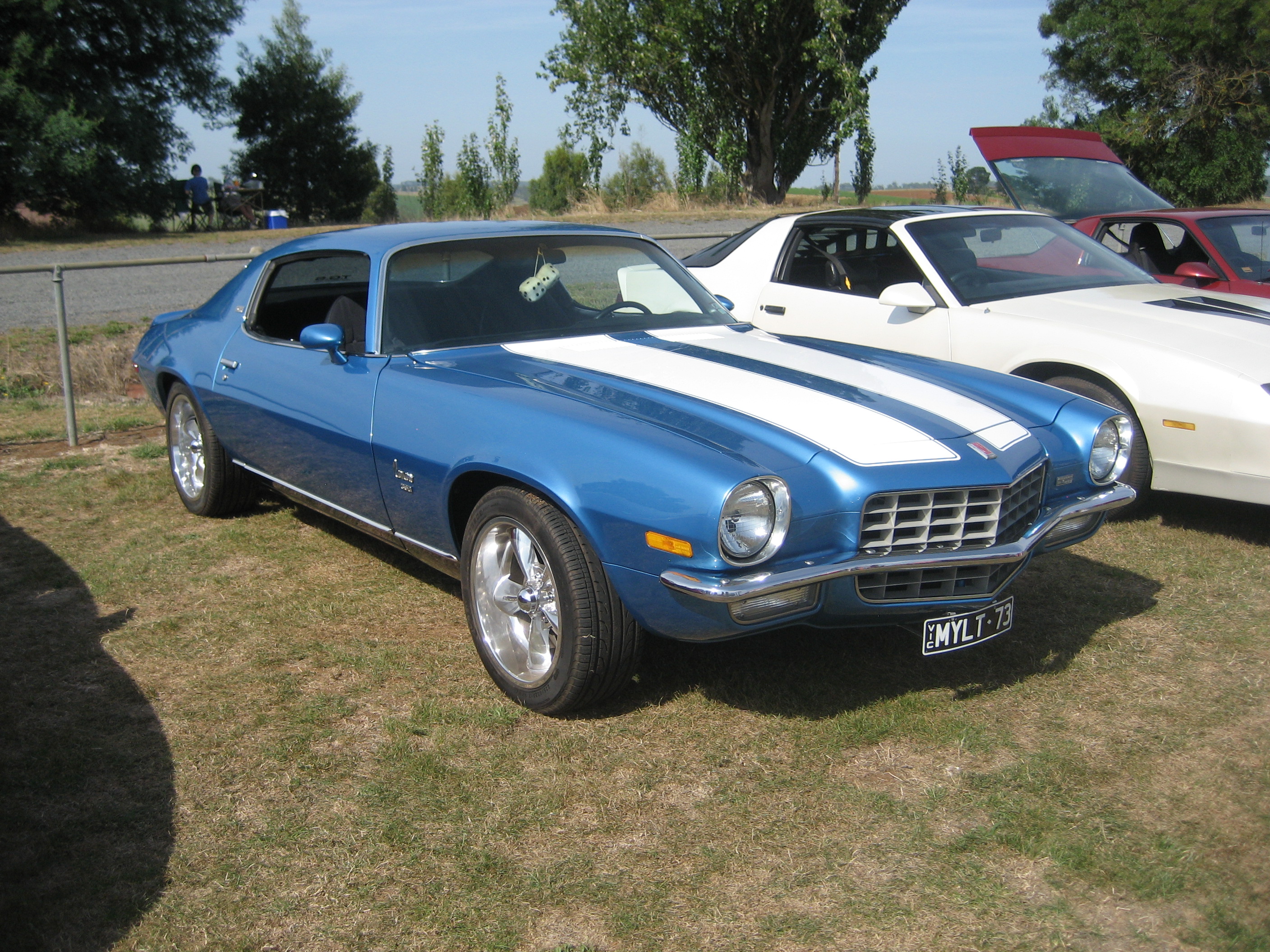 Размер колёс на Chevrolet Camaro 1973 Подбор шин на Chevrolet Camaro 1973