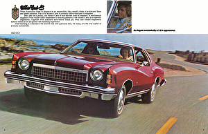 Подбор шин на Chevrolet Monte Carlo 1974