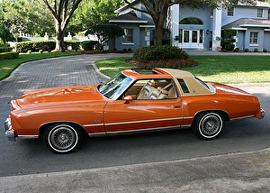 Подбор шин на Chevrolet Monte Carlo 1977