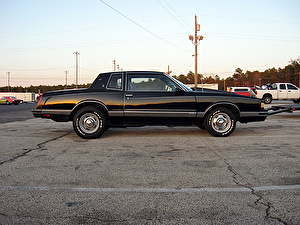 Подбор шин на Chevrolet Monte Carlo 1988