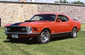 Подбор шин на Ford Mustang Mach 1 1970