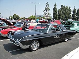 Подбор шин на Ford Thunderbird 1963