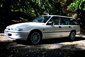 Подбор шин на Holden Commodore 1994