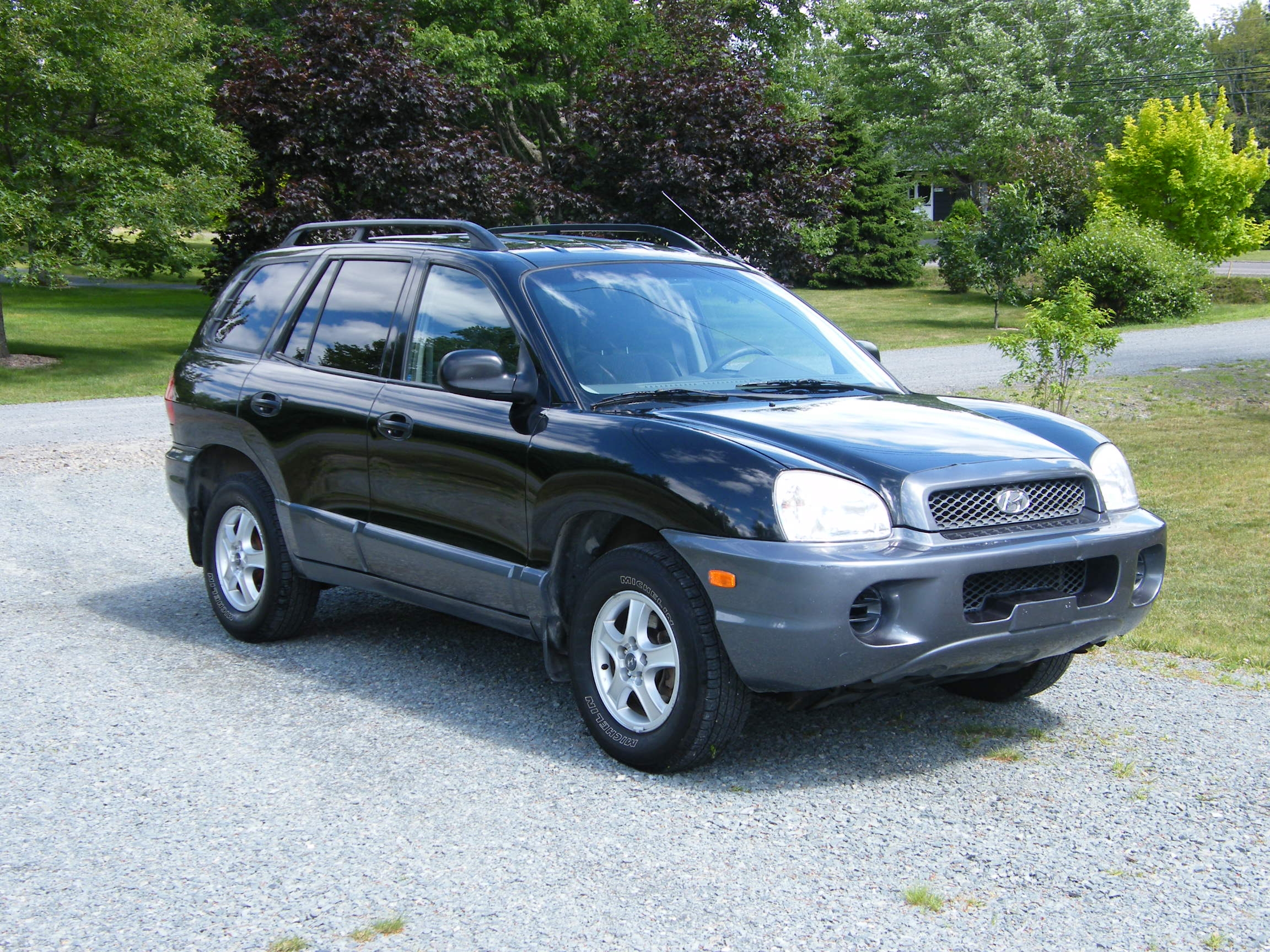 Hyundai santa fe 2003 год