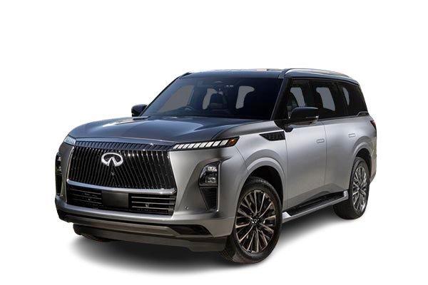 Подбор шин на Infiniti QX80 2026