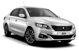 Подбор шин на Peugeot 301 2019