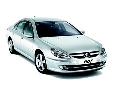 Подбор шин на Peugeot 607 2010