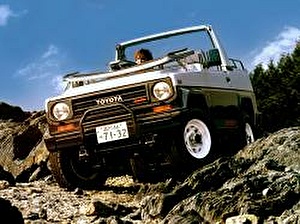 Размер колёс на Toyota Blizzard 1989 Подбор шин на Toyota Blizzard 1989