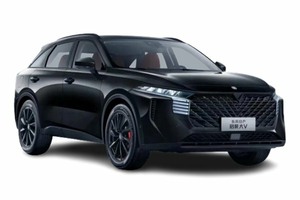Подбор шин на Venucia V-Online 2021