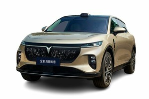 Подбор шин и дисков для автомобиля Voyah Courage. Шины на Voyah