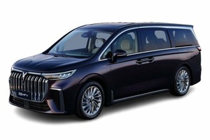 Размер колёс на Voyah Dream 2022 Подбор шин на Voyah Dream 2022