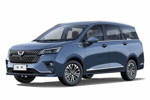 Подбор шин на Wuling Jiachen 2025