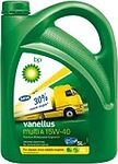 BP Vanellus Multi A