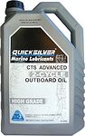 Quicksilver CTS Advanced 2-Cycle
