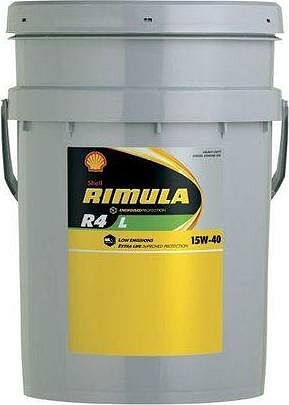 Shell Rimula Shell Rimula