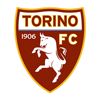 Сотрудничество с Torino FC
