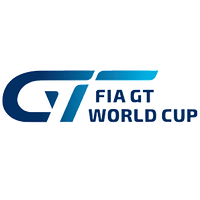 Сотрудничество с GT World Cup
