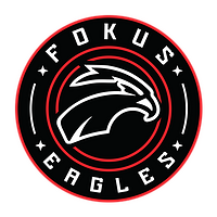 Сотрудничество с FOKUS Eagles