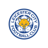Сотрудничество с Leicester City