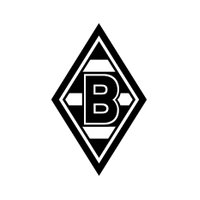 Сотрудничество с Borussia Monchengladbach