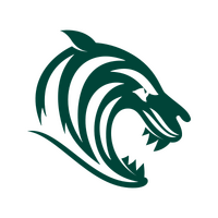 Сотрудничество с Leicester Tigers