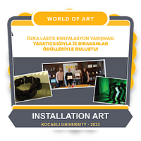 Сотрудничество с World of Art Installation Competition