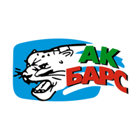 Сотрудничество с Ak Bars, Bars and Irbis