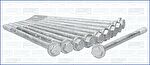 AJUSA 81000800 Комплект болтов ГБЦ Citroen/Peugeot 1,6…1,9L mot.XU51C…XU92C)/ 758.280 (020457)