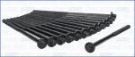 AJUSA 81041600 комплект болтов головки цилидра на CHEVROLET EPICA (KL1_)