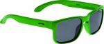 Очки солнцезащитные ALPINA 2017 MITZO green (б/р:UNI)