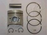 Ashika 39-513M поршень на HYUNDAI H100 автобус (P)