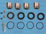 AUTOFREN SEINSA D42147C ремкомплект, тормозной суппорт на RENAULT MEGANE II (BM0/1_, CM0/1_)