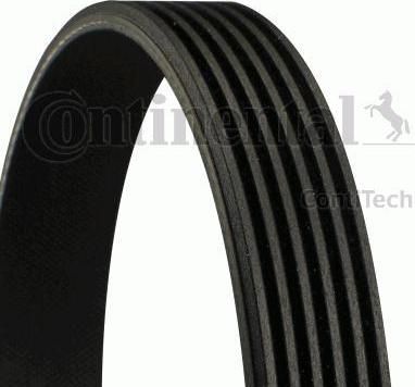 CONTITECH Ремень поликлиновой Ford Fiesta IV/KA/Rover <=6PK1445, 6PK1450 (6PK1450, 6PK1448)