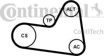 Contitech 6PK1710K1 поликлиновой ременный комплект на PEUGEOT PARTNER фургон (5)
