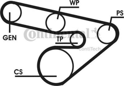 Contitech 6PK1800D1 поликлиновой ременный комплект на OPEL VECTRA B универсал (31_)