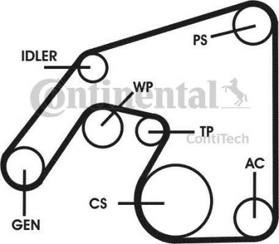 Contitech 6PK2260D1 поликлиновой ременный комплект на MERCEDES-BENZ C-CLASS купе (CL203)