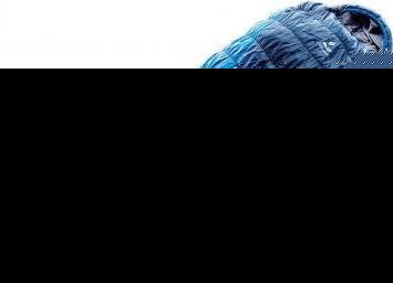 Спальник Deuter 2016-17 Sleeping Bags Exosphere +2° (прав) cobalt-steel / (б/р:UNI)