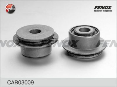 Fenox CAB03009 подвеска, рычаг независимой подвески колеса на SUBARU LEGACY V (BM, BR)