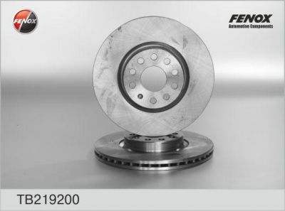 FENOX Диск тормозной передний VW Passat 05 -> (к-кт 2 шт., цена за 1 шт.) (TB219200)