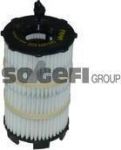 FRAM Фильтр масляный (CH11079ECO)